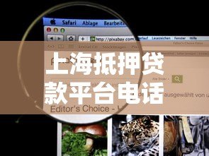 上海抵押贷款平台电话查询及正规机构推荐指南