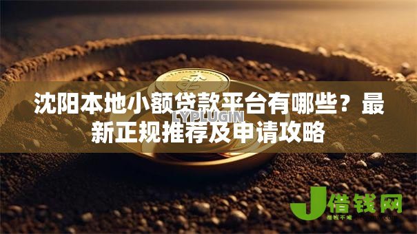 沈阳本地小额贷款平台有哪些?最新正规推荐及申请攻略 沈阳本地小额贷款平台有哪些?最新正规推荐及申请攻略