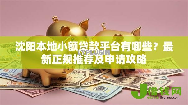 沈阳本地小额贷款平台有哪些?最新正规推荐及申请攻略 沈阳本地小额贷款平台有哪些?最新正规推荐及申请攻略