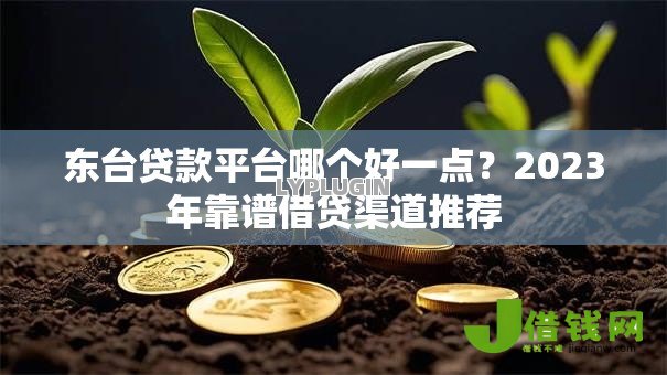 东台贷款平台哪个好一点?2023年靠谱借贷渠道推荐 东台贷款平台哪个好一点?2023年靠谱借贷渠道推荐