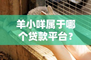 羊小咩属于哪个贷款平台?全面解析其背景与产品特点 羊小咩属于哪个贷款平台?全面解析其背景与产品特点