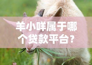 羊小咩属于哪个贷款平台?全面解析其背景与产品特点 羊小咩属于哪个贷款平台?全面解析其背景与产品特点