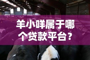 羊小咩属于哪个贷款平台?全面解析其背景与产品特点 羊小咩属于哪个贷款平台?全面解析其背景与产品特点