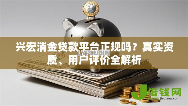 兴宏消金贷款平台正规吗？真实资质、用户评价全解析