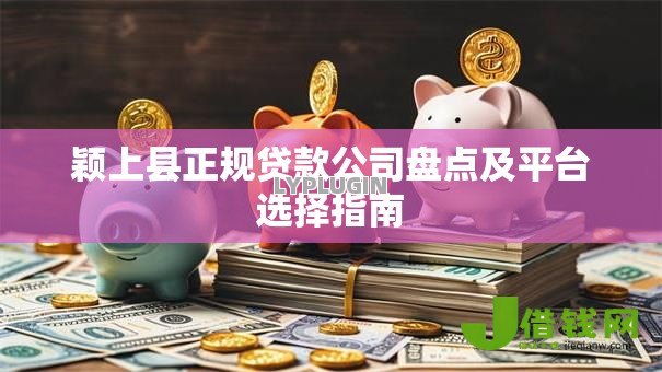 颖上县正规贷款公司盘点及平台选择指南 颖上县正规贷款公司盘点及平台选择指南