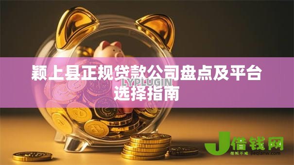 颖上县正规贷款公司盘点及平台选择指南 颖上县正规贷款公司盘点及平台选择指南