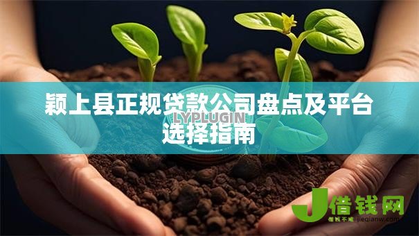 颖上县正规贷款公司盘点及平台选择指南 颖上县正规贷款公司盘点及平台选择指南