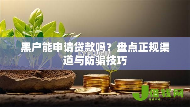 黑户能申请贷款吗?盘点正规渠道与防骗技巧 黑户能申请贷款吗?盘点正规渠道与防骗技巧