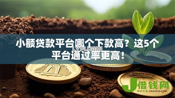 小额贷款平台哪个下款高？这5个平台通过率更高！