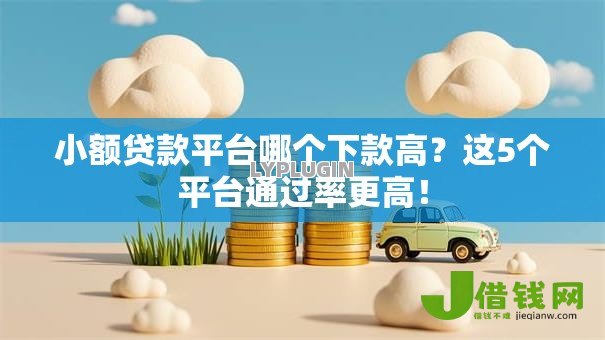 小额贷款平台哪个下款高？这5个平台通过率更高！