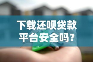 下载还呗贷款平台安全吗？全面解析平台安全性