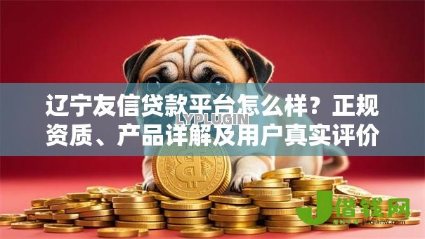 辽宁友信贷款平台怎么样？正规资质、产品详解及用户真实评价
