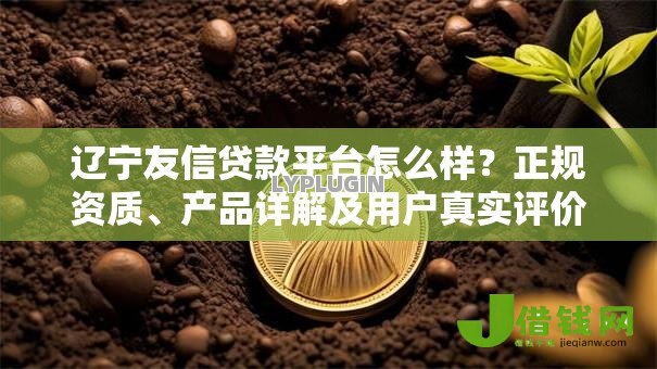 辽宁友信贷款平台怎么样？正规资质、产品详解及用户真实评价