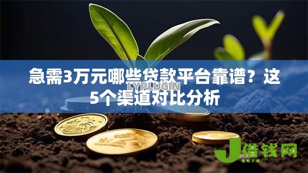急需3万元哪些贷款平台靠谱？这5个渠道对比分析