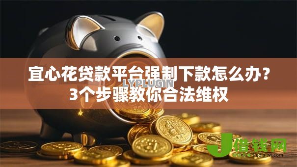 宜心花贷款平台强制下款怎么办?3个步骤教你合法维权 宜心花贷款平台强制下款怎么办?3个步骤教你合法维权