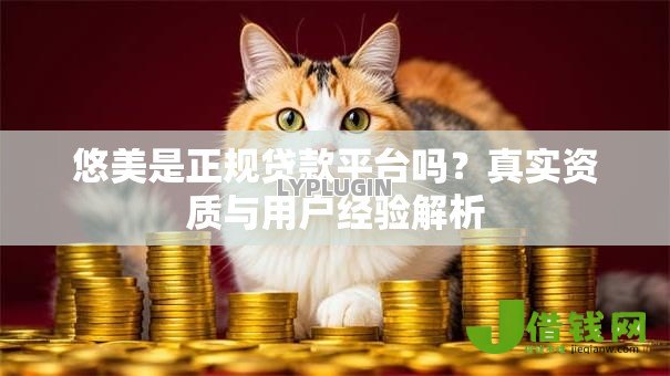 悠美是正规贷款平台吗？真实资质与用户经验解析