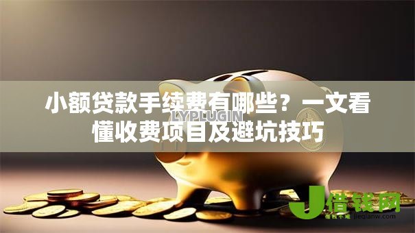 小额贷款手续费有哪些?一文看懂收费项目及避坑技巧 小额贷款手续费有哪些?一文看懂收费项目及避坑技巧