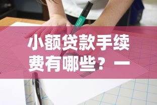 小额贷款手续费有哪些?一文看懂收费项目及避坑技巧 小额贷款手续费有哪些?一文看懂收费项目及避坑技巧
