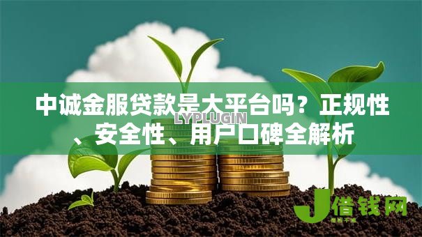 中诚金服贷款是大平台吗?正规性、安全性、用户口碑全解析 中诚金服贷款是大平台吗?正规性、安全性、用户口碑全解析