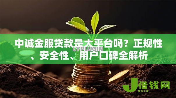 中诚金服贷款是大平台吗?正规性、安全性、用户口碑全解析 中诚金服贷款是大平台吗?正规性、安全性、用户口碑全解析