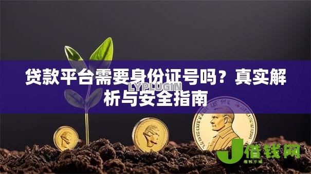 贷款平台需要身份证号吗？真实解析与安全指南