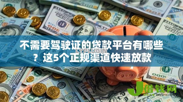 不需要驾驶证的贷款平台有哪些？这5个正规渠道快速放款