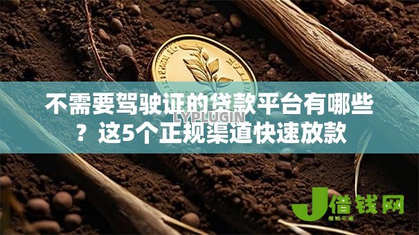 不需要驾驶证的贷款平台有哪些？这5个正规渠道快速放款