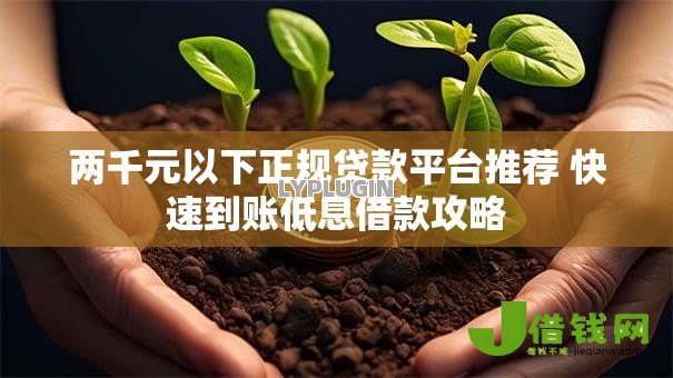 两千元以下正规贷款平台推荐 快速到账低息借款攻略