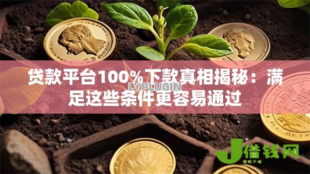 贷款平台100%下款真相揭秘:满足这些条件更容易通过 贷款平台100%下款真相揭秘:满足这些条件更容易通过