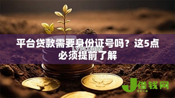 平台贷款需要身份证号吗?这5点必须提前了解 平台贷款需要身份证号吗?这5点必须提前了解