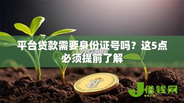 平台贷款需要身份证号吗?这5点必须提前了解 平台贷款需要身份证号吗?这5点必须提前了解