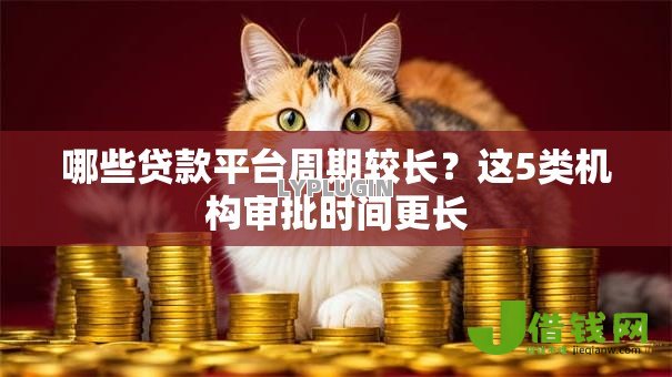 哪些贷款平台周期较长？这5类机构审批时间更长