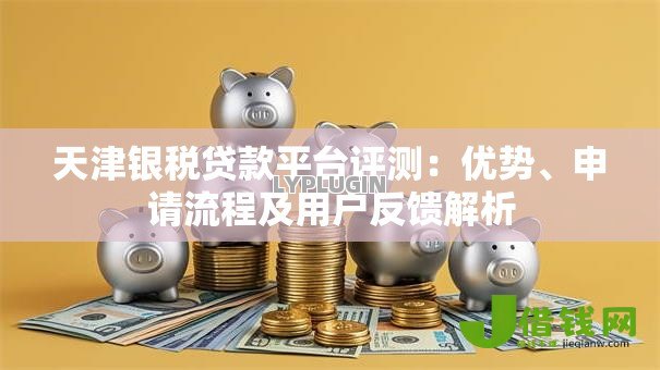 天津银税贷款平台评测:优势、申请流程及用户反馈解析 天津银税贷款平台评测:优势、申请流程及用户反馈解析