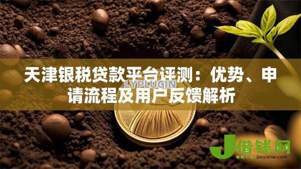 天津银税贷款平台评测:优势、申请流程及用户反馈解析 天津银税贷款平台评测:优势、申请流程及用户反馈解析
