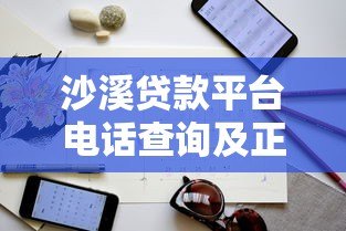 沙溪贷款平台电话查询及正规联系方式指南