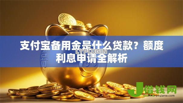 支付宝备用金是什么贷款?额度利息申请全解析 支付宝备用金是什么贷款?额度利息申请全解析