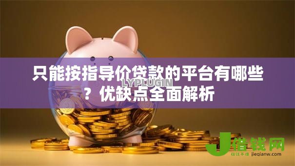 只能按指导价贷款的平台有哪些?优缺点全面解析 只能按指导价贷款的平台有哪些?优缺点全面解析