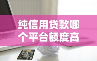 纯信用贷款哪个平台额度高？这5家轻松申请最高20万