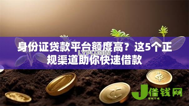 身份证贷款平台额度高？这5个正规渠道助你快速借款