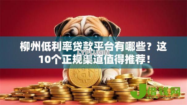 柳州低利率贷款平台有哪些?这10个正规渠道值得推荐! 柳州低利率贷款平台有哪些?这10个正规渠道值得推荐!