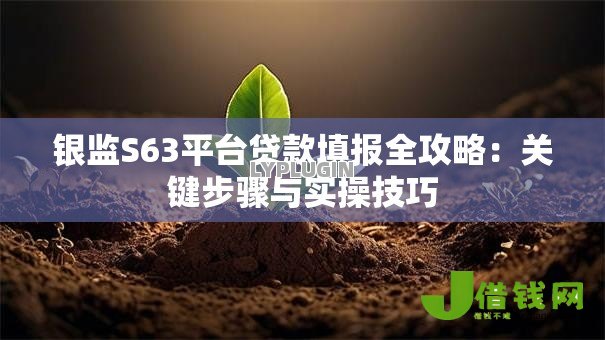 银监S63平台贷款填报全攻略:关键步骤与实操技巧 银监S63平台贷款填报全攻略:关键步骤与实操技巧