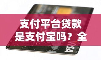 支付平台贷款是支付宝吗?全面解析区别与选择指南 支付平台贷款是支付宝吗?全面解析区别与选择指南