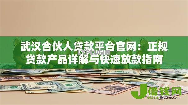 武汉合伙人贷款平台官网：正规贷款产品详解与快速放款指南