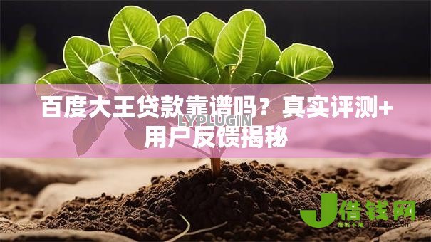 百度大王贷款靠谱吗?真实评测+用户反馈揭秘 百度大王贷款靠谱吗?真实评测+用户反馈揭秘
