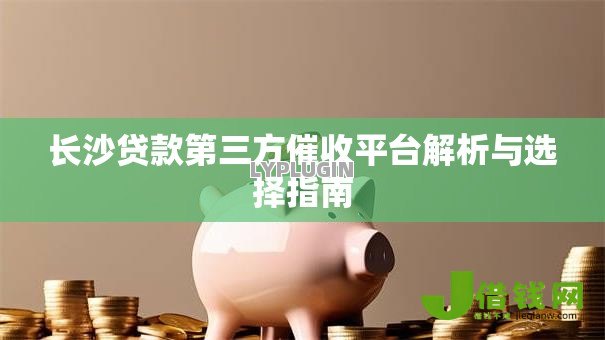 长沙贷款第三方催收平台解析与选择指南 长沙贷款第三方催收平台解析与选择指南