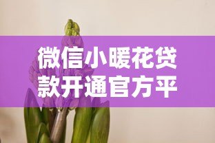 微信小暖花贷款开通官方平台指南 微信小暖花贷款开通官方平台指南