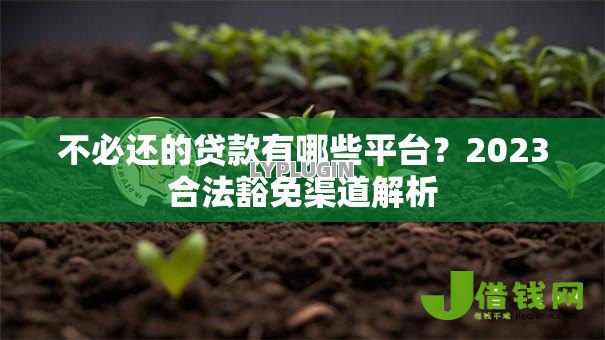 不必还的贷款有哪些平台?2023合法豁免渠道解析 不必还的贷款有哪些平台?2023合法豁免渠道解析