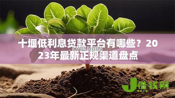 十堰低利息贷款平台有哪些?2023年最新正规渠道盘点 十堰低利息贷款平台有哪些?2023年最新正规渠道盘点