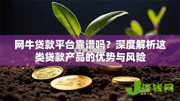 网牛贷款平台靠谱吗？深度解析这类贷款产品的优势与风险