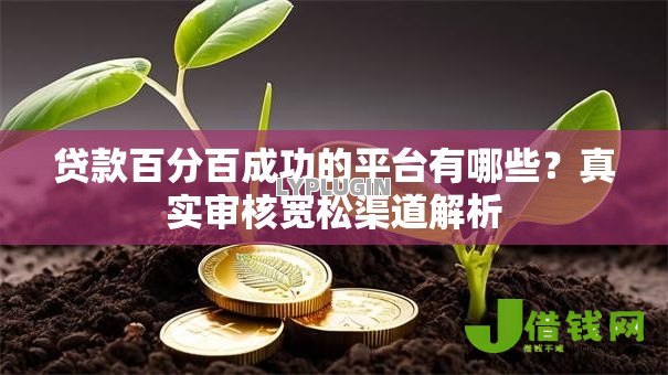 贷款百分百成功的平台有哪些?真实审核宽松渠道解析 贷款百分百成功的平台有哪些?真实审核宽松渠道解析